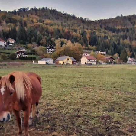 Rochesson Le Vivaldi, Au Coeur Du Massif Vosgien Avec Terrain De Petanqueヴィラ エクステリア 写真