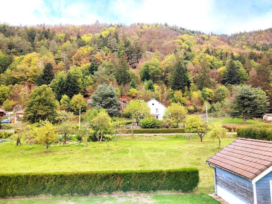 Rochesson Le Vivaldi, Au Coeur Du Massif Vosgien Avec Terrain De Petanqueヴィラ エクステリア 写真