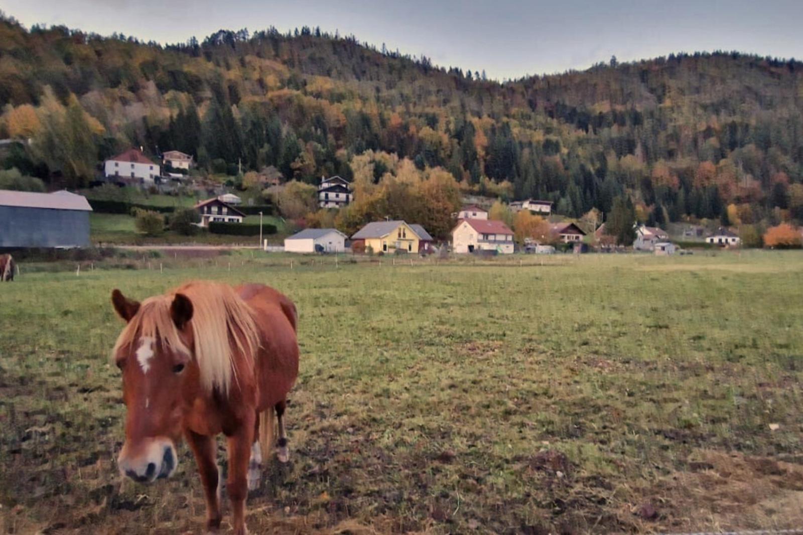 Rochesson Le Vivaldi, Au Coeur Du Massif Vosgien Avec Terrain De Petanqueヴィラ エクステリア 写真